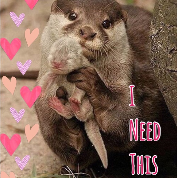 New! Grey Slip On Bootie with Ruffle and Zipper - Picture 12 of 13